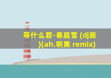 等什么君-春庭雪 (dj版)(ah.啊黑 remix)